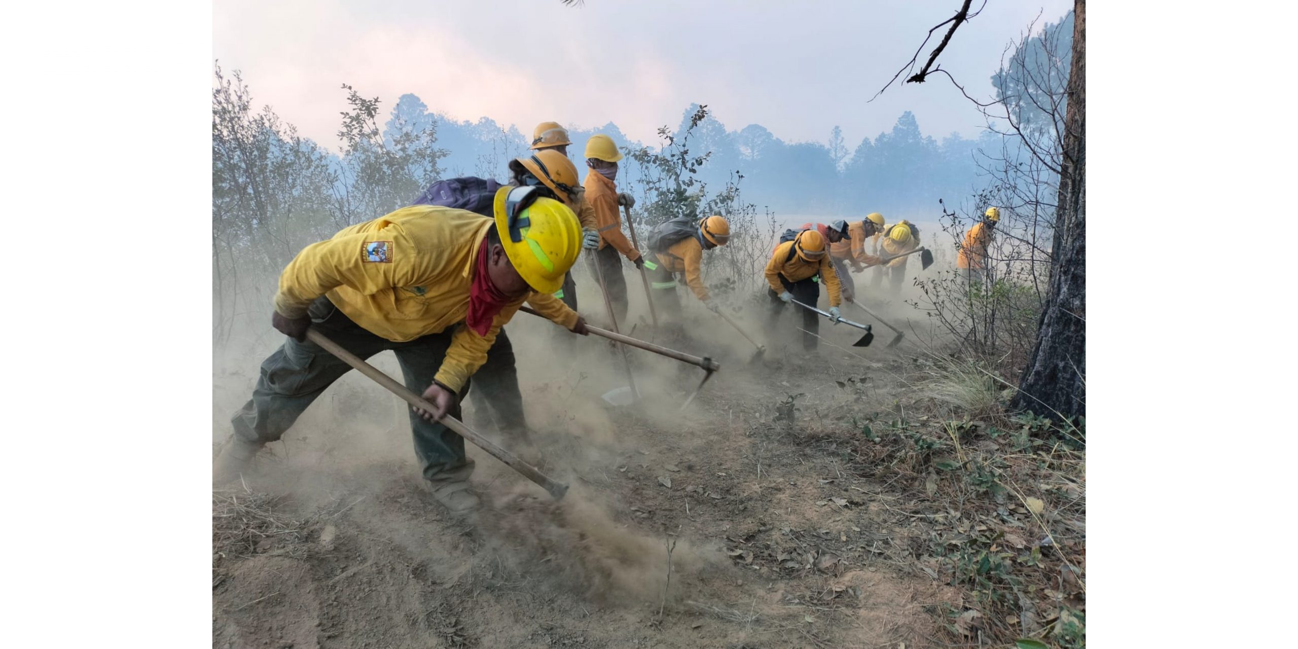 incendios forestales