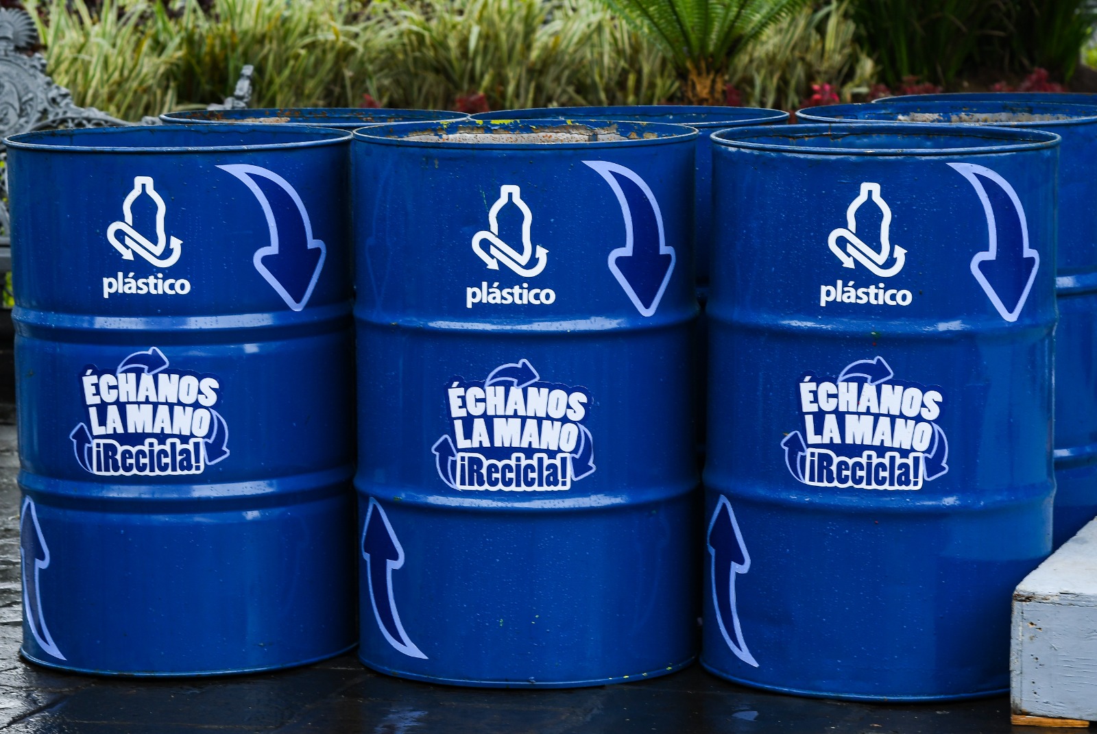 Entregan contenedores a 58 planteles, como parte del Día Mundial del Medio Ambiente contenedores de basura