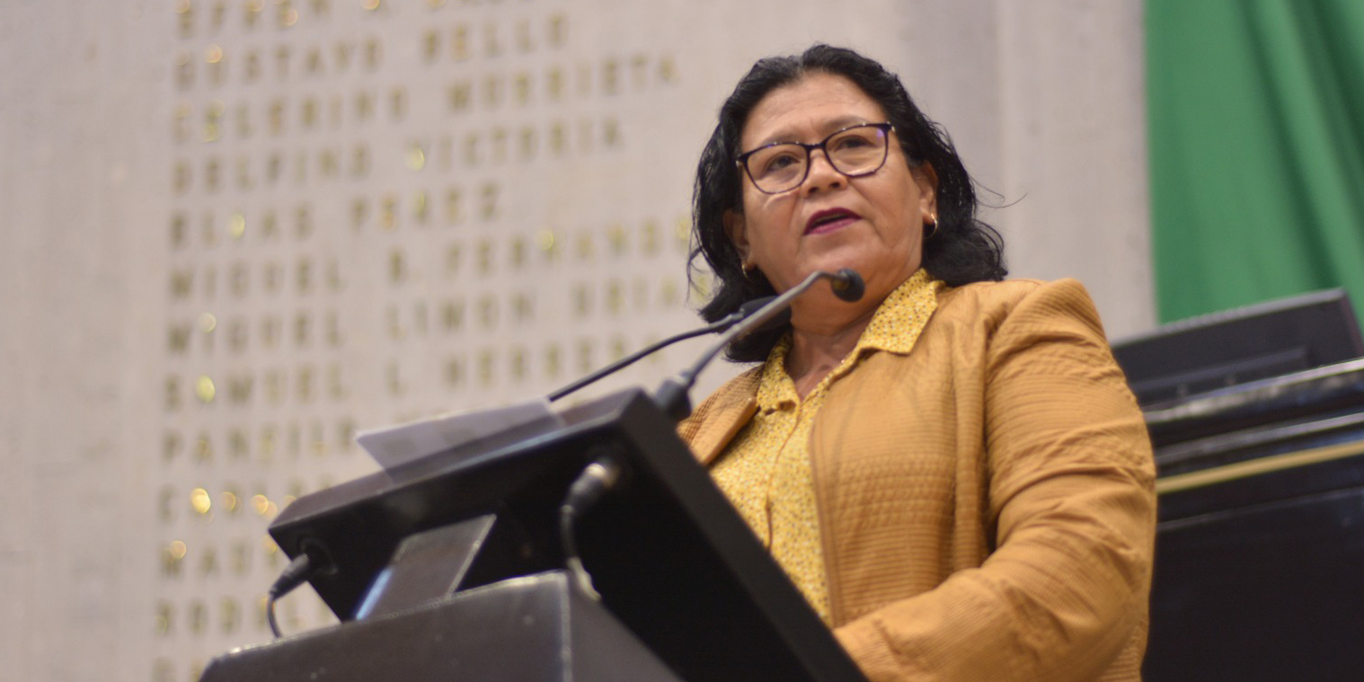 Incorporarían Mejora Regulatoria y Zonas Portuarias al nombre de una Comisión Eusebia Cortés