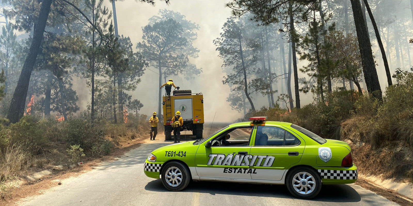 incendio forestal