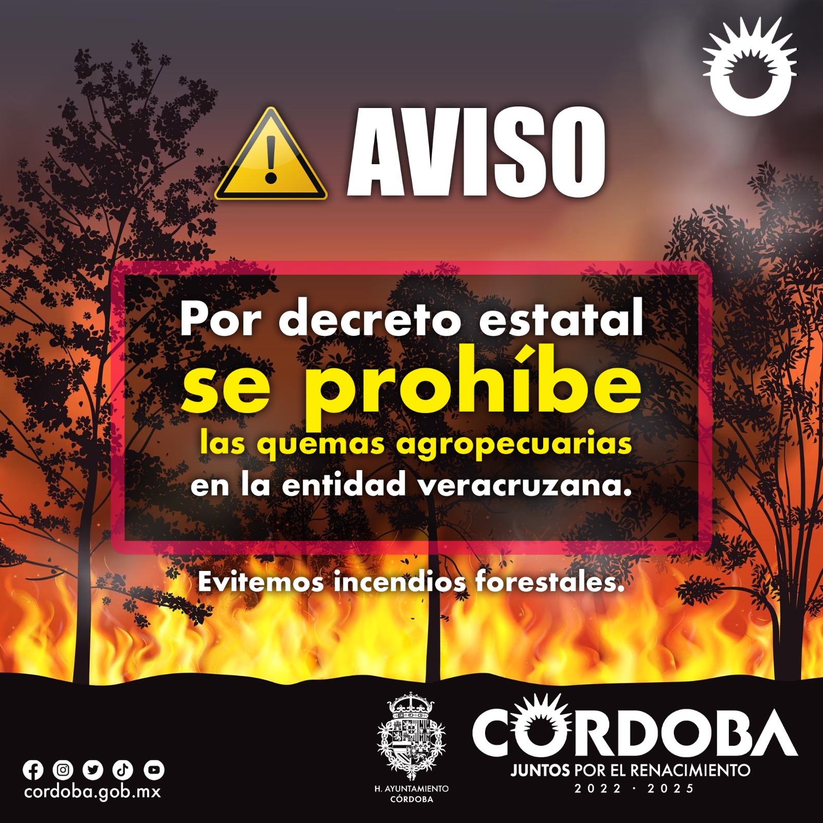 WhatsApp Image 2023-06-21 at 15.28.49