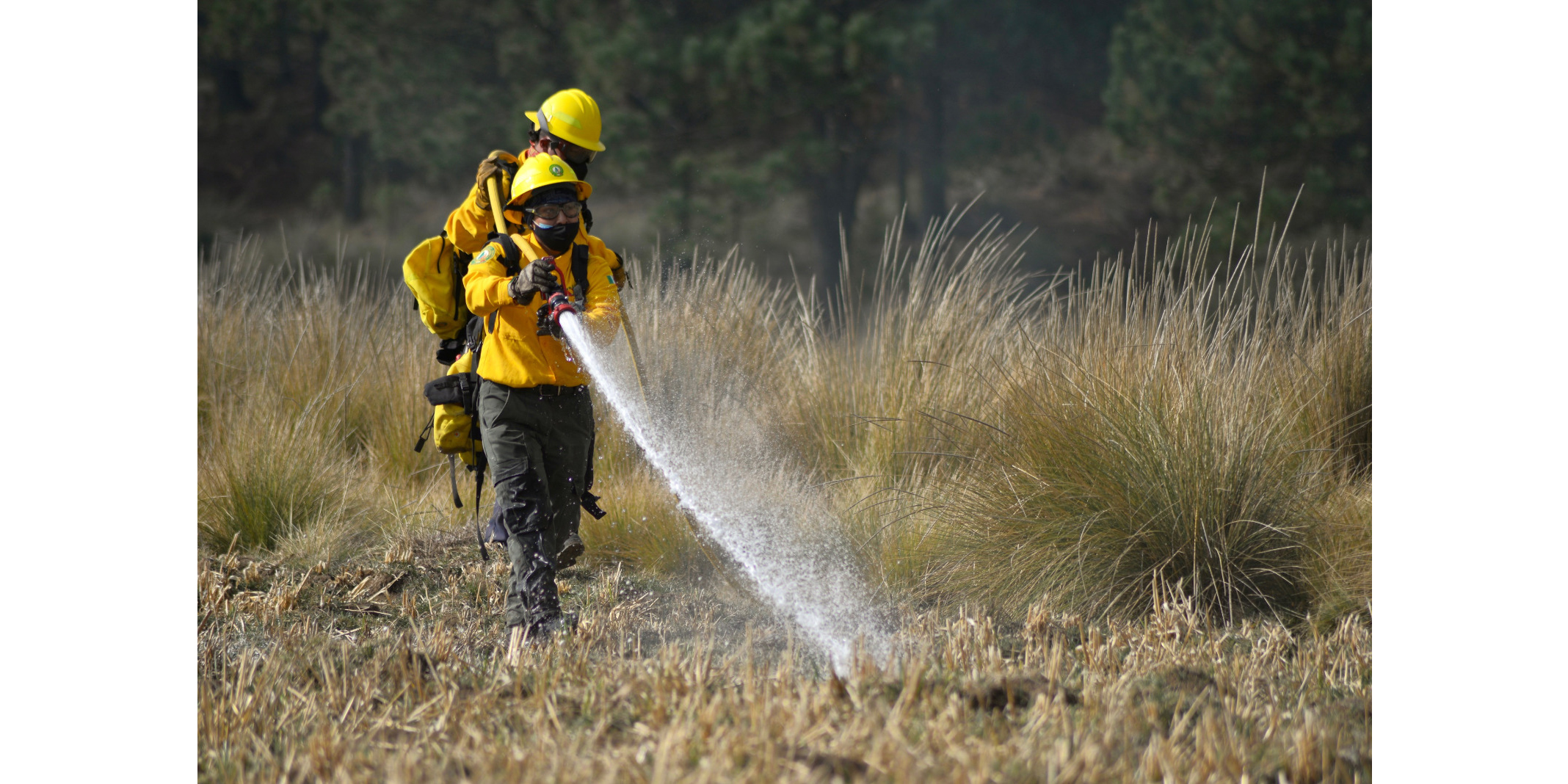 incendios forestales