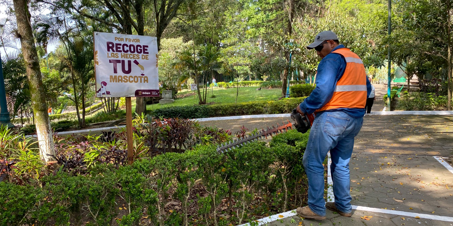 mantemiento áreas verdes