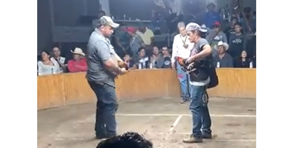 pelea de gallos