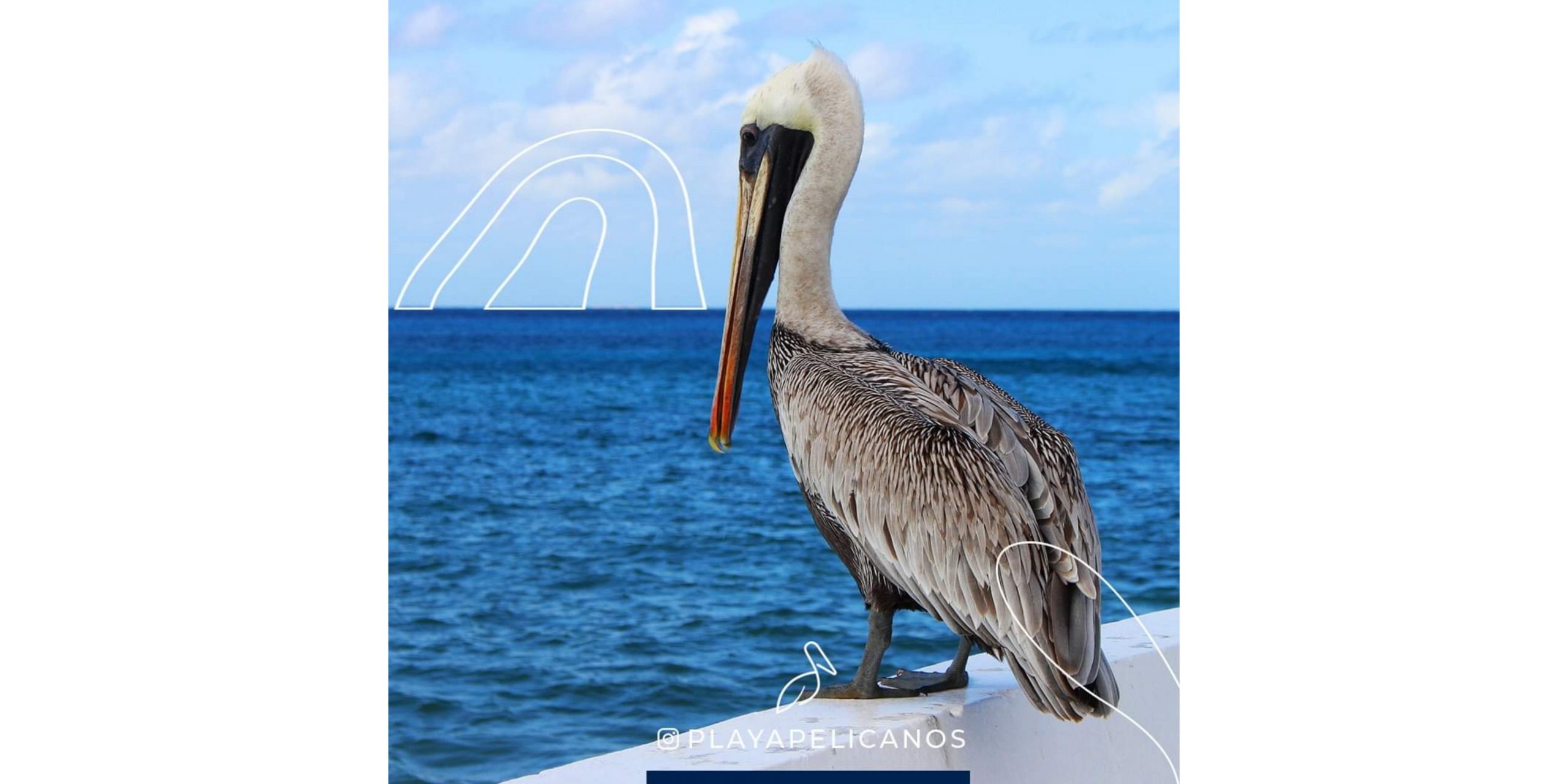 GridArt_20230731_124228454