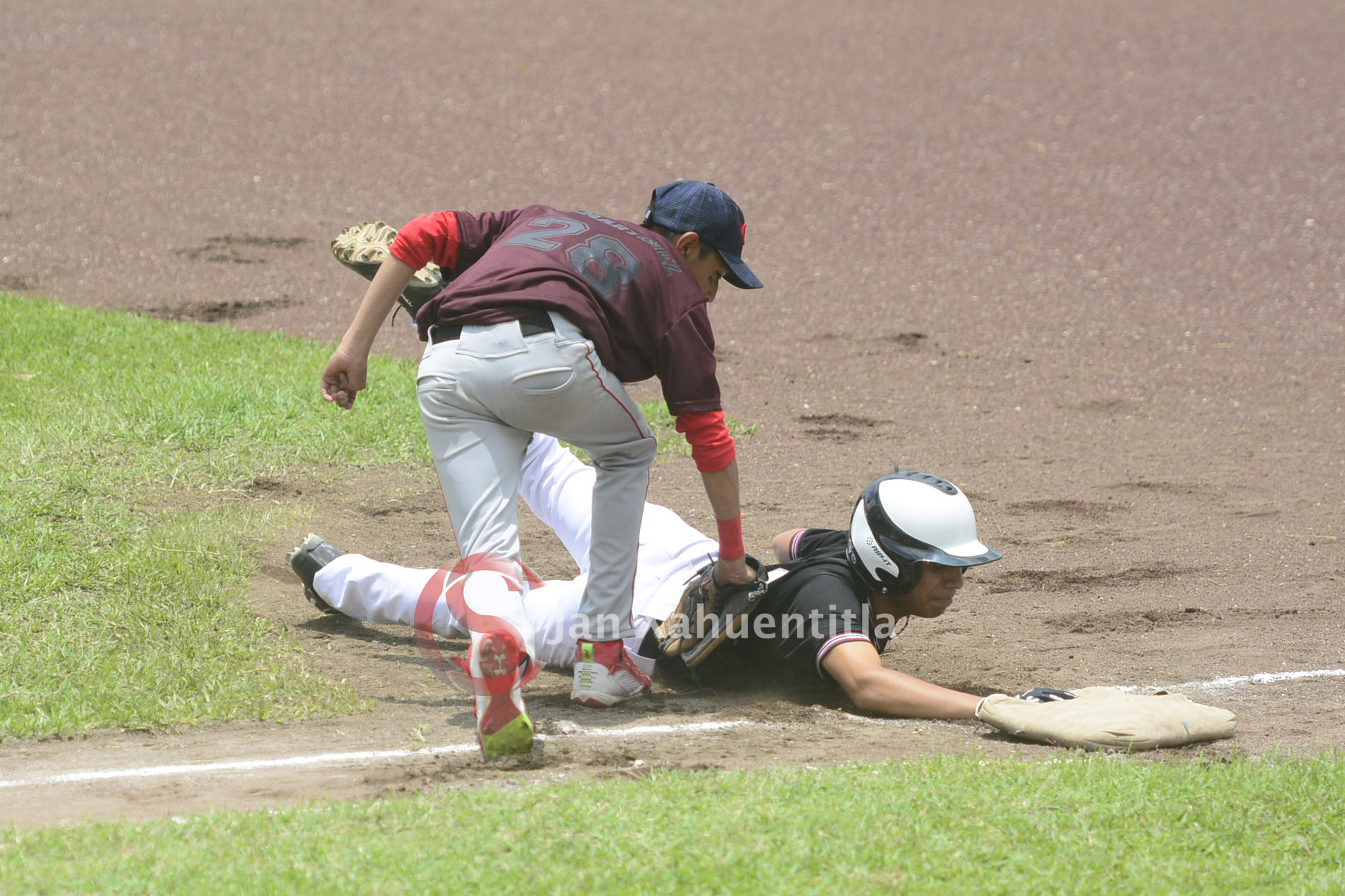 Inicia Campeonato Nacional de Beisbol U-15 béisbol infantil