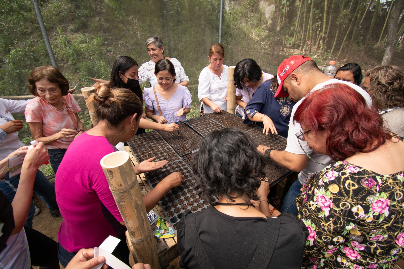 WhatsApp Image 2023-07-06 at 10.01.12