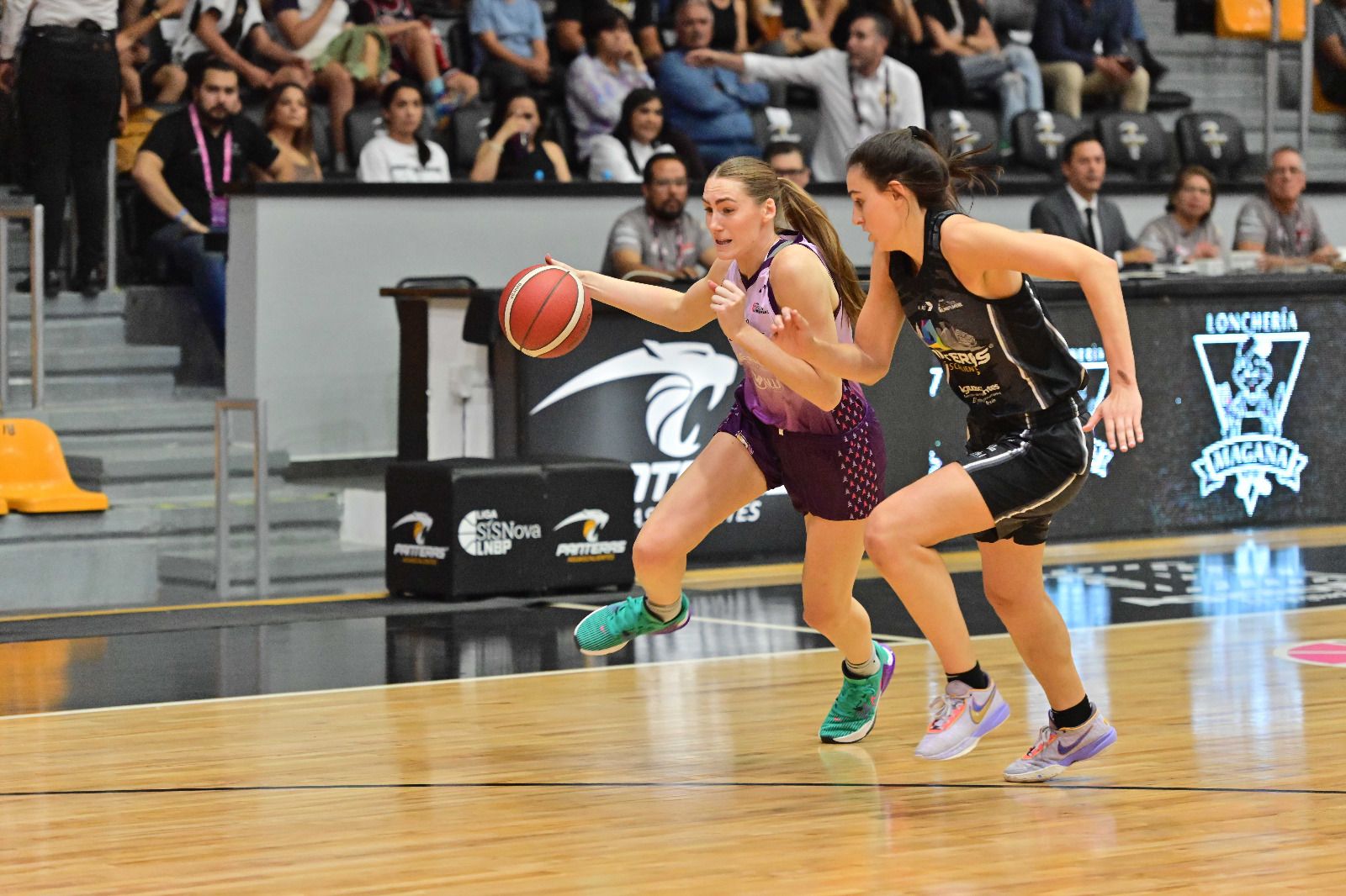 Halcones de Xalapa Femenil