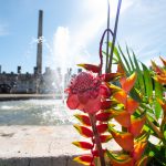 Promueve SECTUR la formación de líderes en el sector turístico