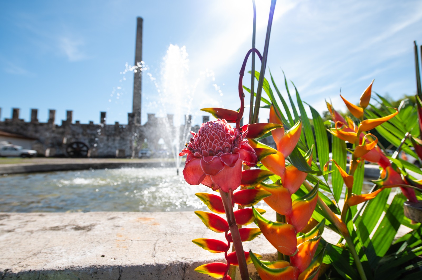 Invita Sectur y Turismo de Córdoba a prestadores de servicio a formar parte del Catálogo Estatal "Turismo de Romance" turismo