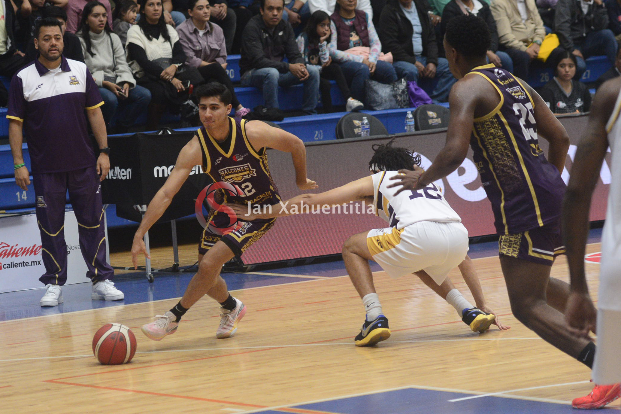 Se cumplen 3 años de grandes vuelos del Ave Púrpura en el baloncesto veracruzano y nacional Halcones de Xalapa-11
