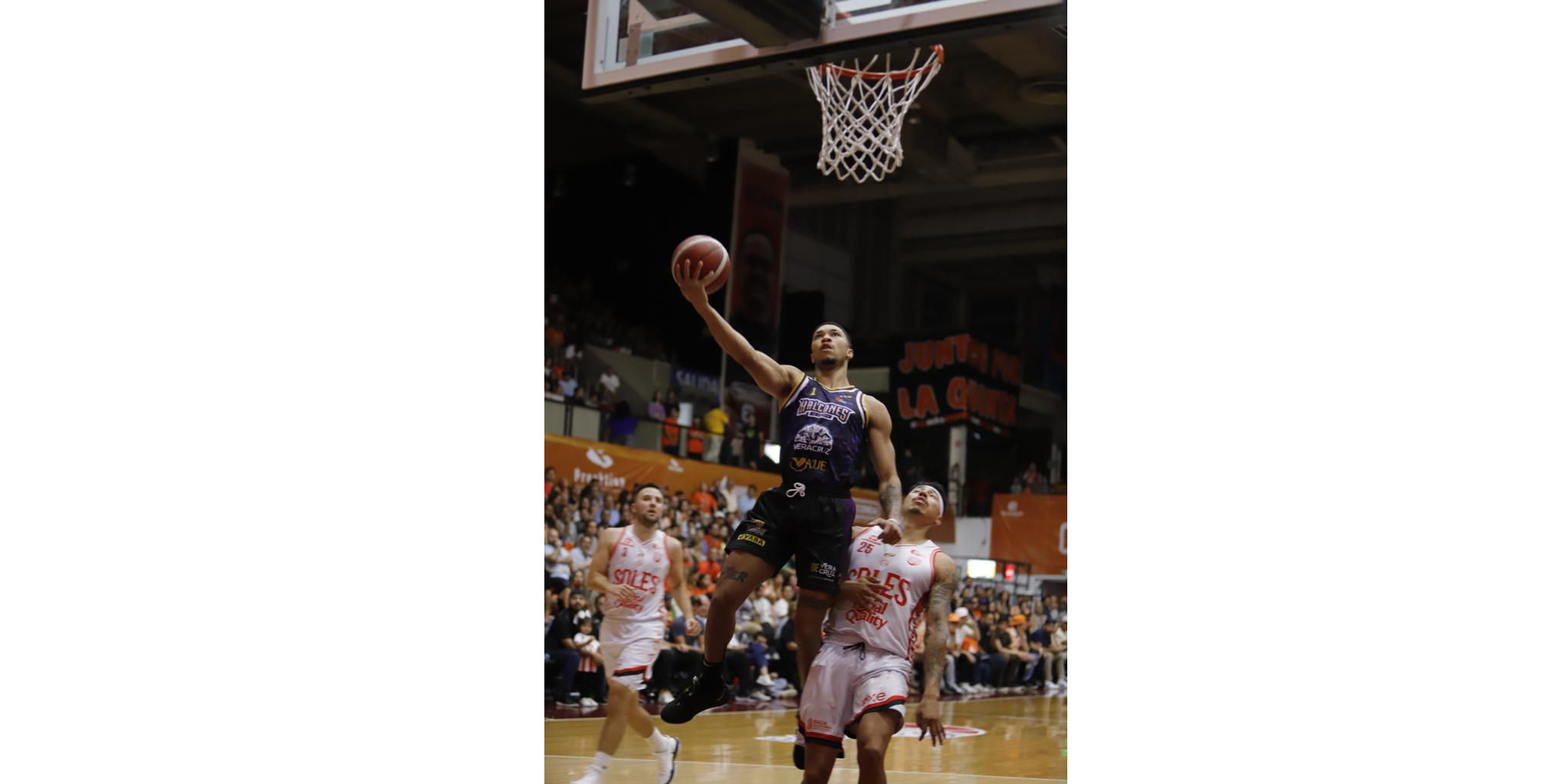 Halcones de Xalapa pintó de morado el segundo juego del Clásico Nacional Halcones de Xalapa