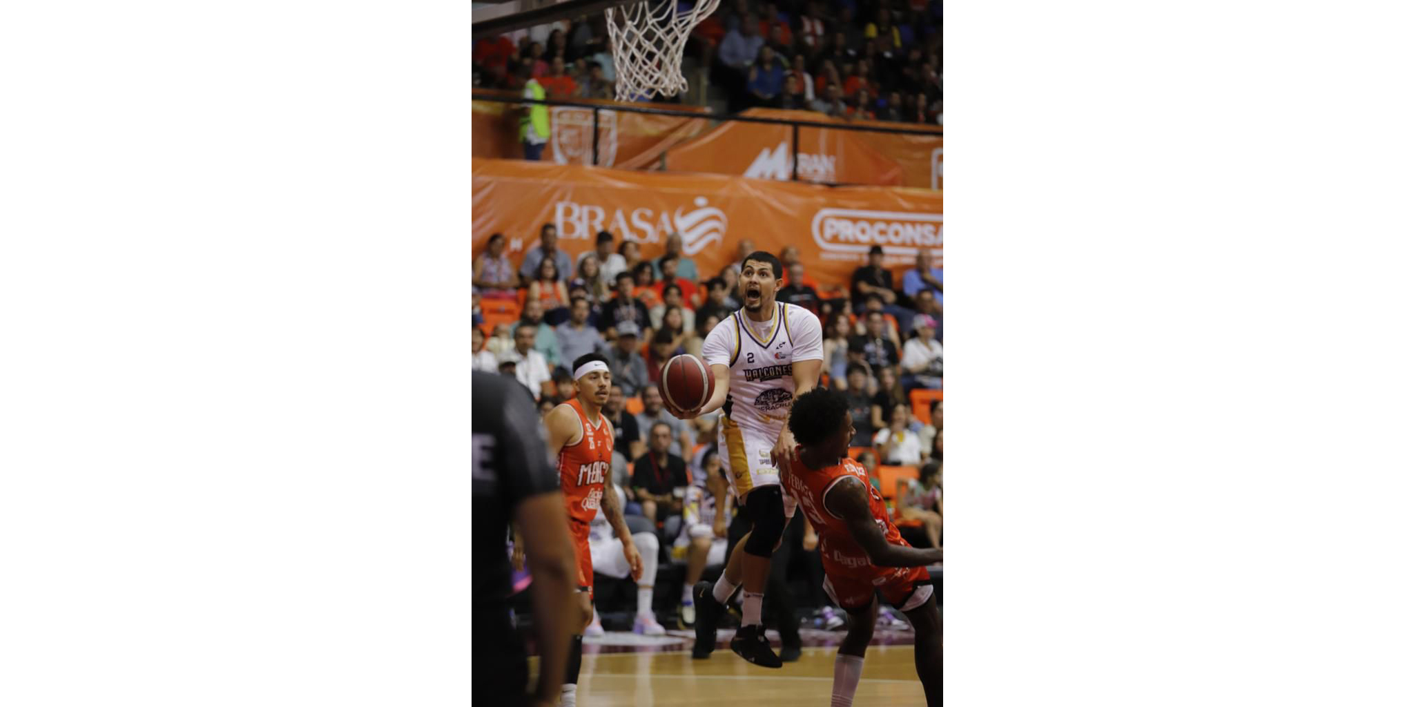 Halcones de Xalapa inicia su vuelo en calidad de visitante en la LNBP Halcones de Xalapa