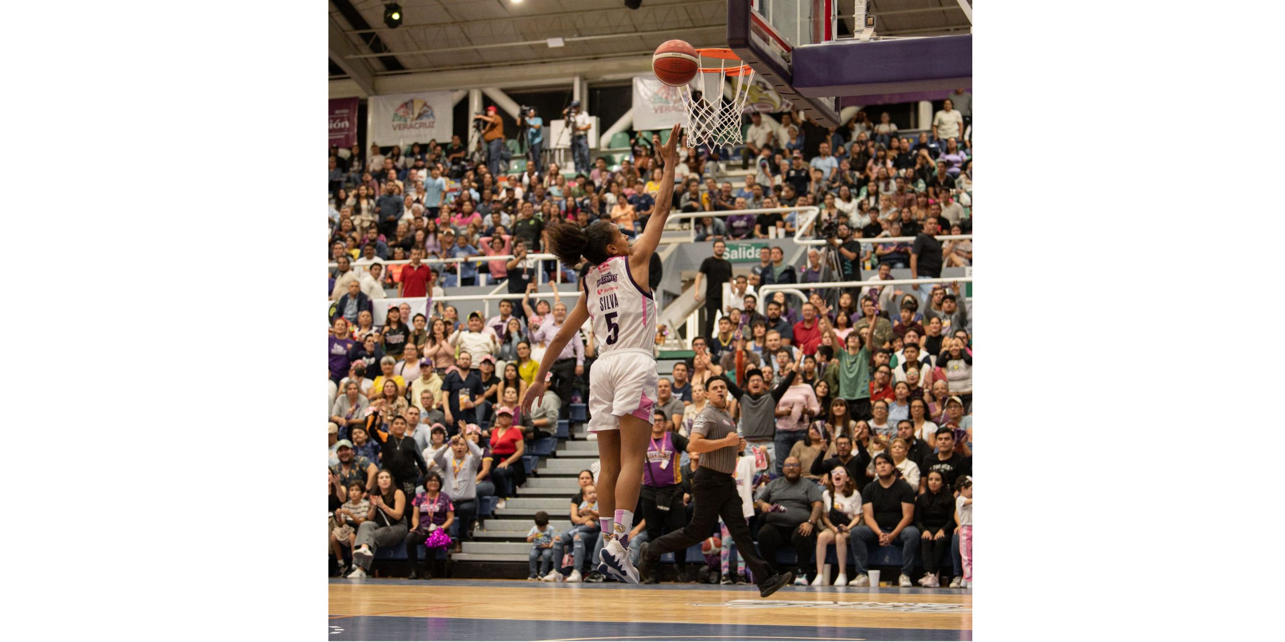 Halcones de Xalapa Femenil