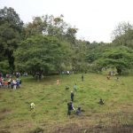 Propone diputada Roxana Barragán sembrar un árbol por cada nacimiento registrado en Veracruz