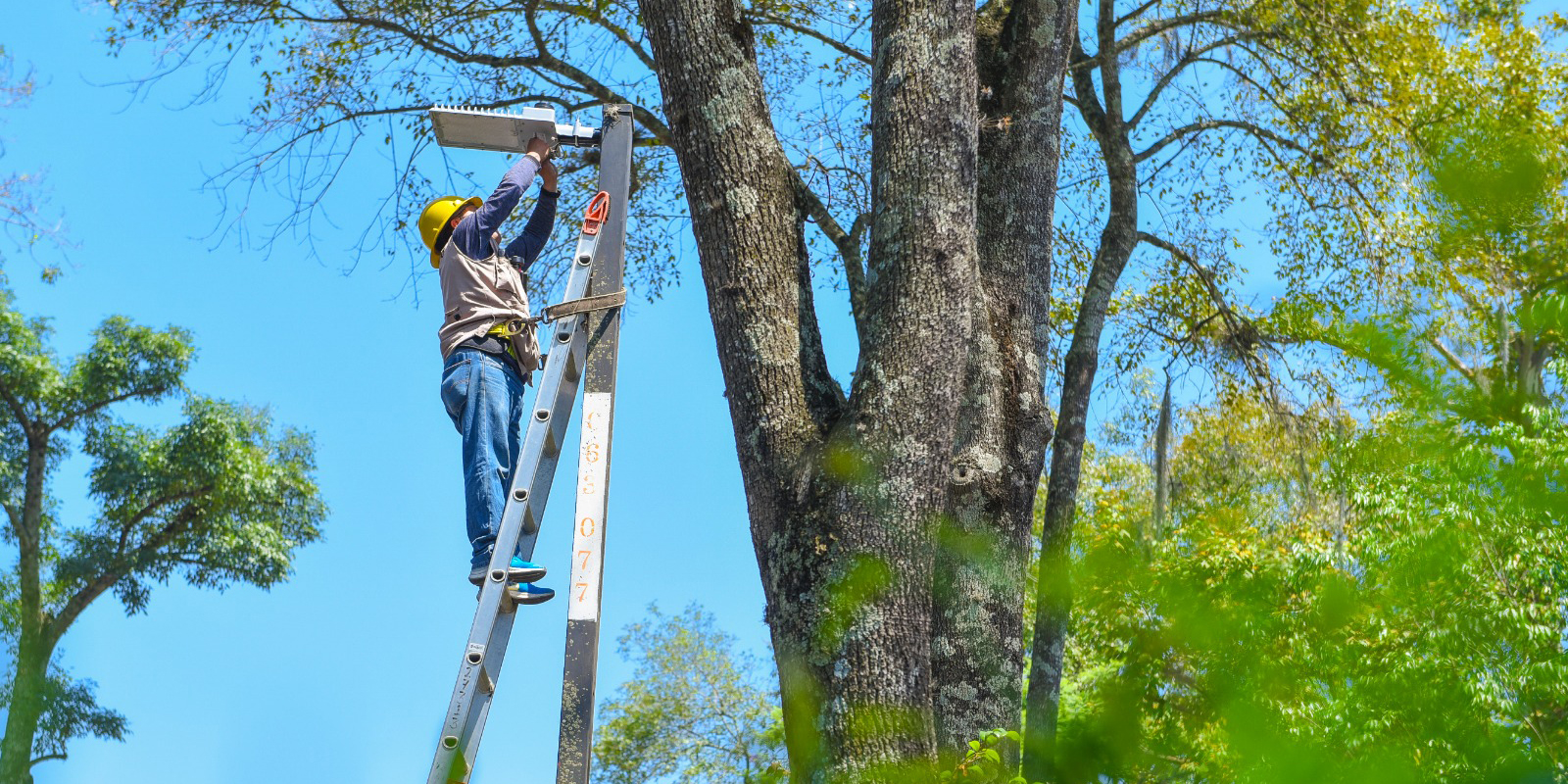 Tendrán mejor iluminación 30 calles del Centro Histórico luminarias LED