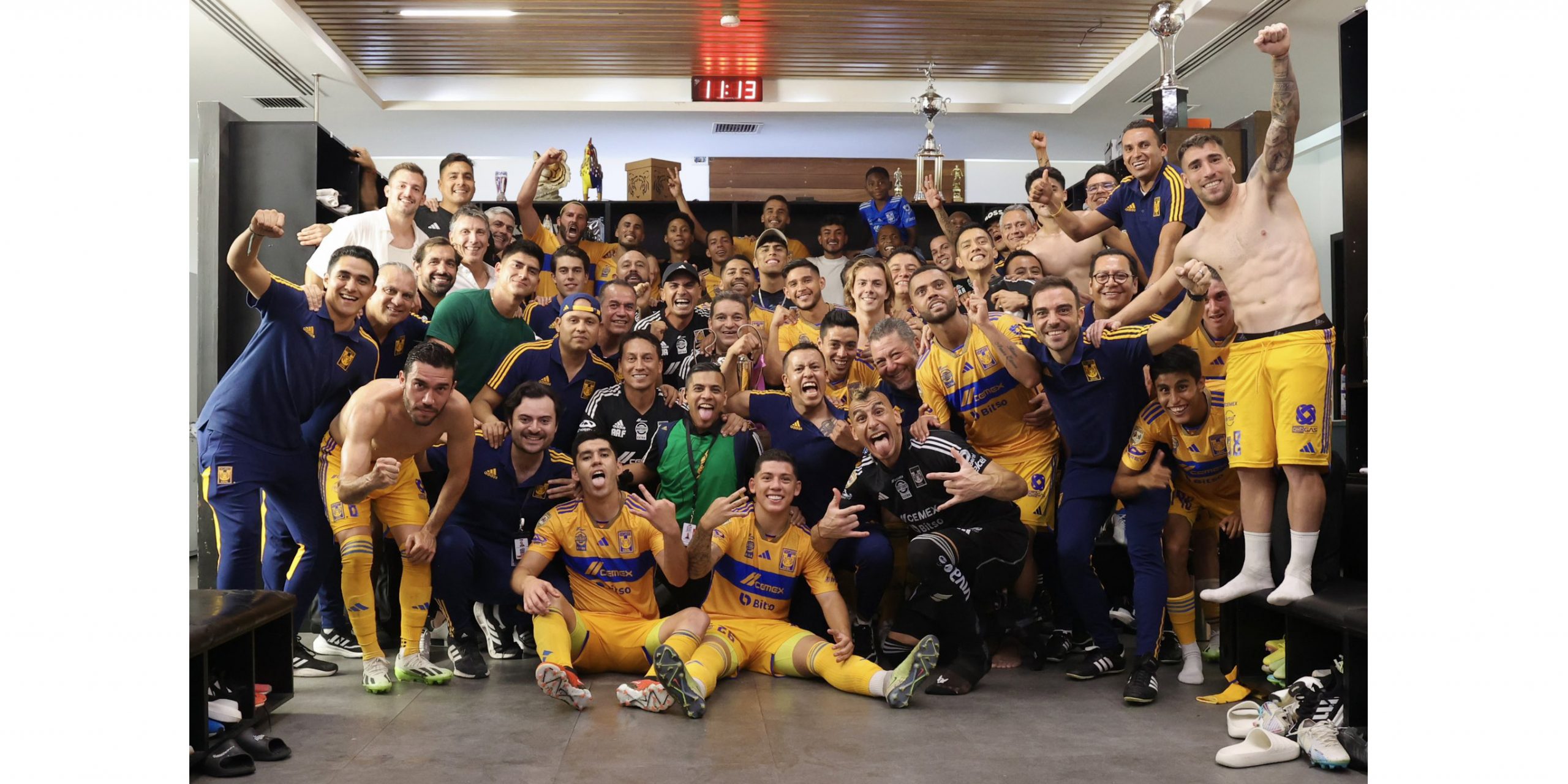 Tigres