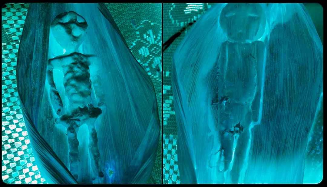 WhatsApp Image 2023-09-19 at 17.23.47