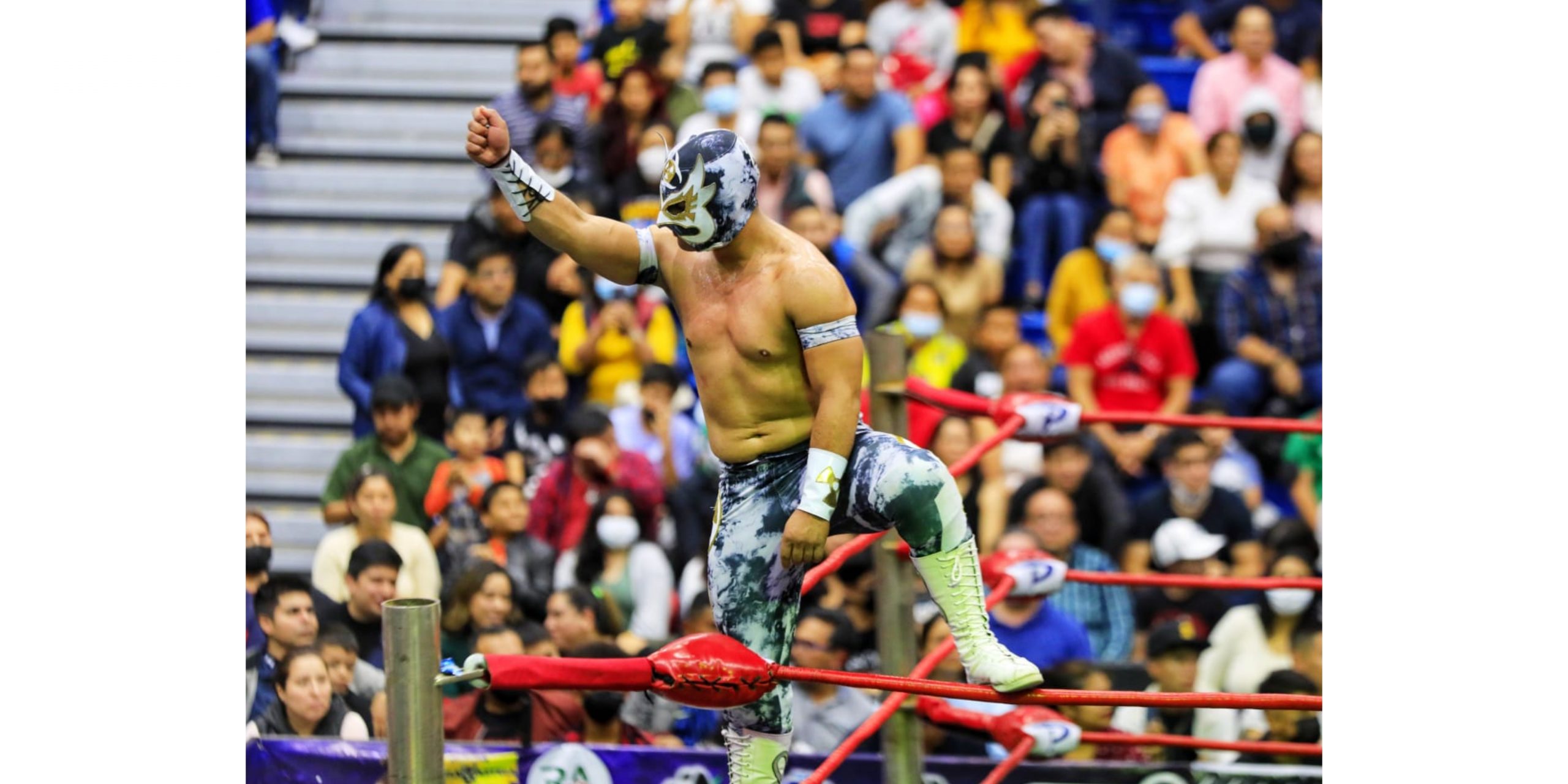 Lucha libre