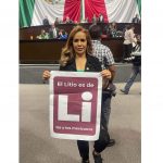 Paola Tenorio coordinará a diputados federales de Veracruz