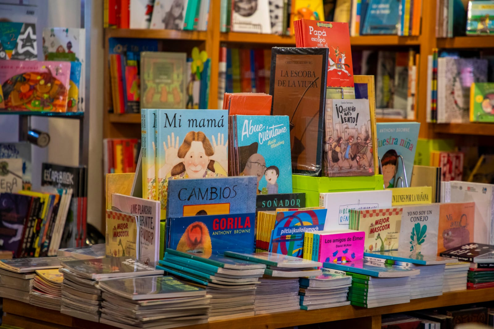 Inicia el Festival Internacional Cuentos y Flores libros-lectura