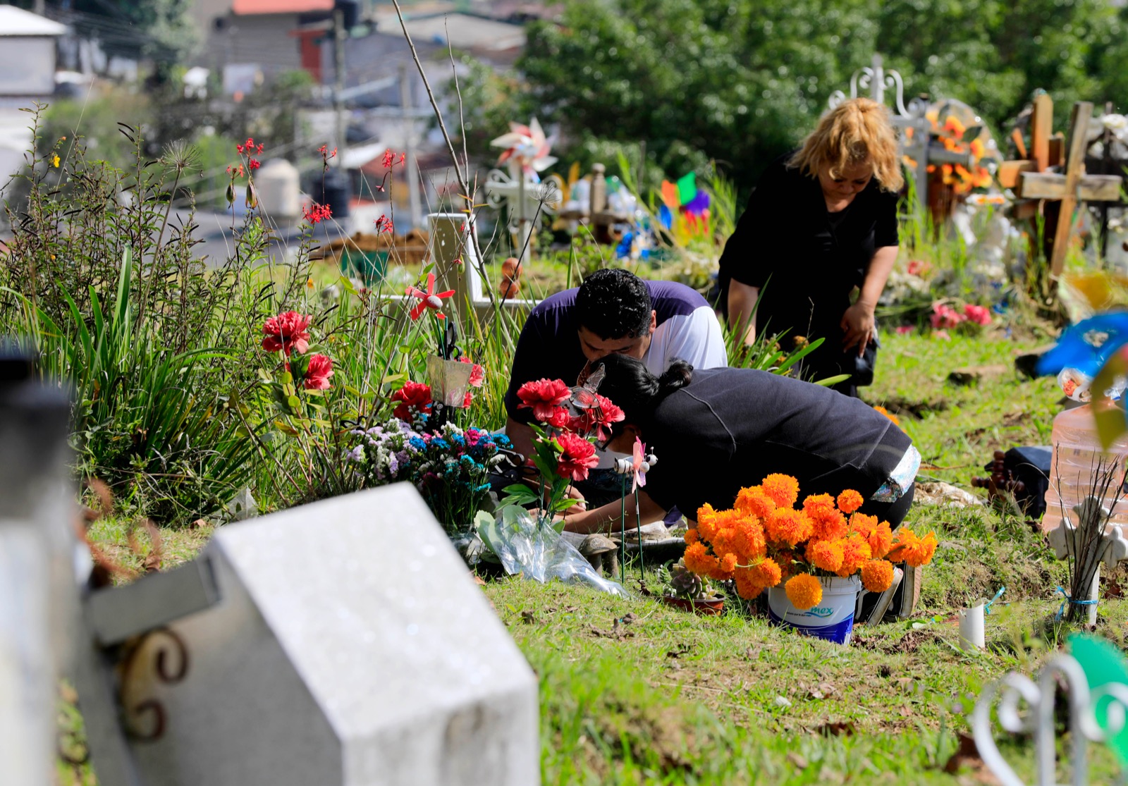 Panteones municipales, listos para Día de Muertos panteones