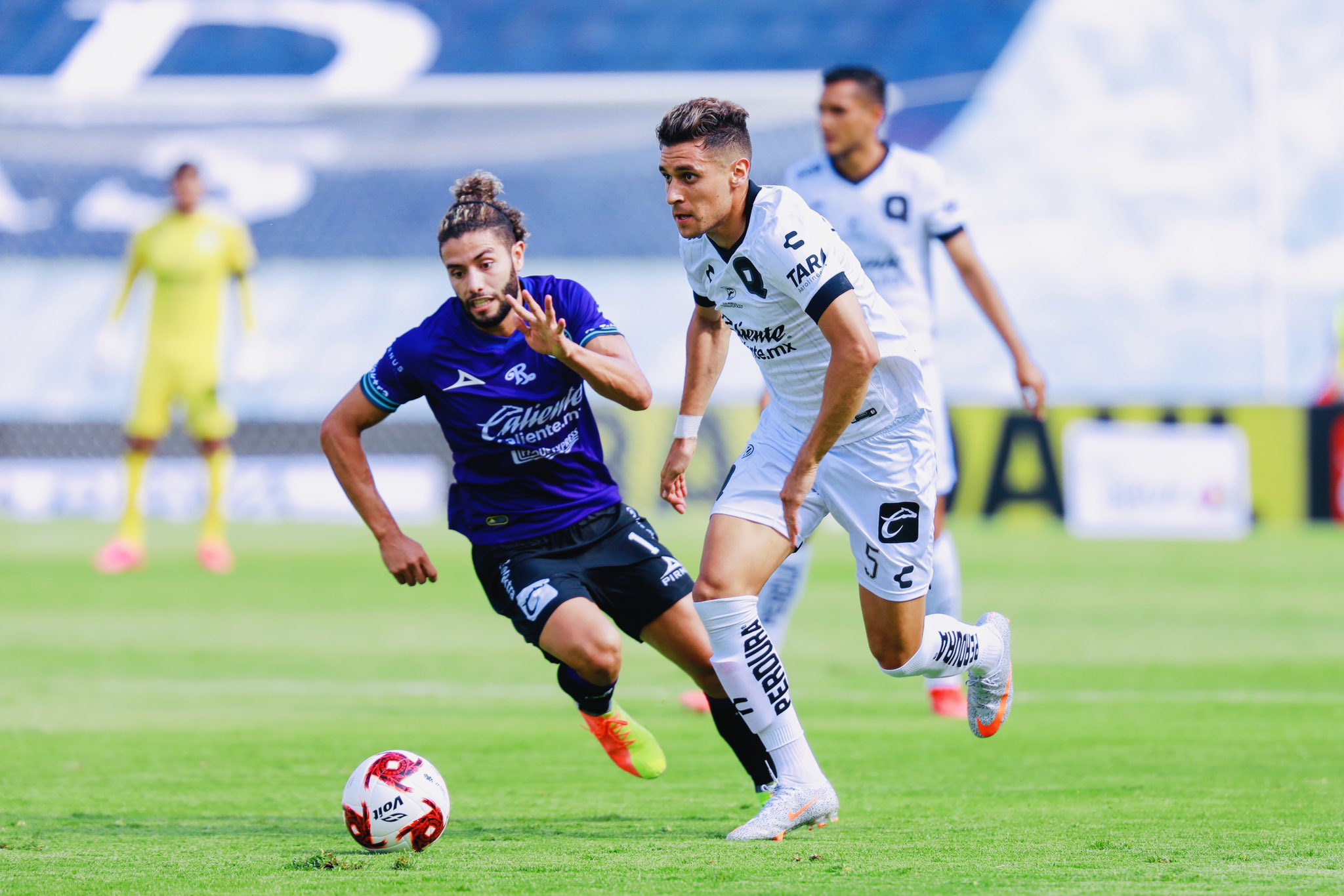 Gallos de Querétaro