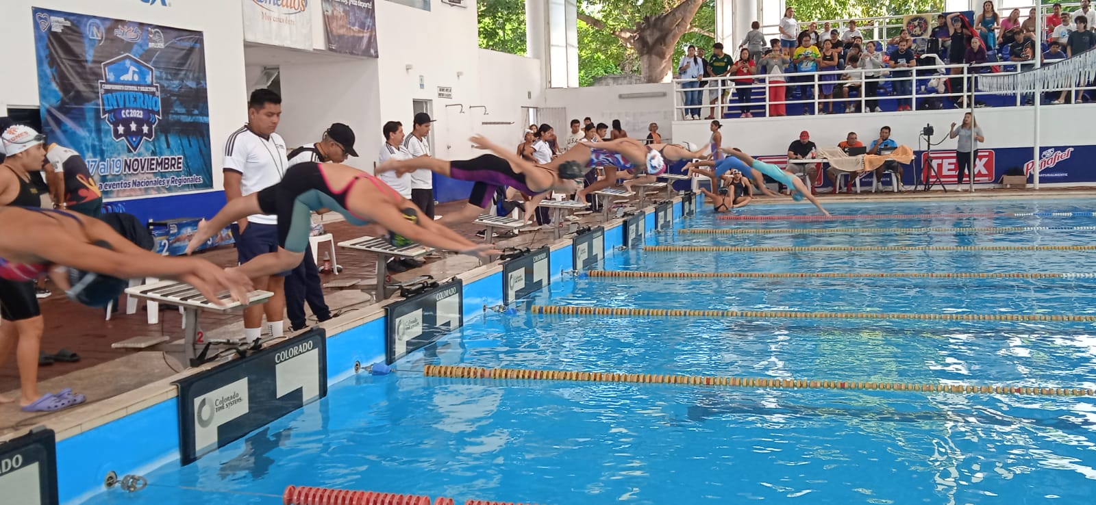 Marcha al frente Pirañas Team del Estatal de Natación 2023 WhatsApp Image 2023-11-18 at 13.23.01
