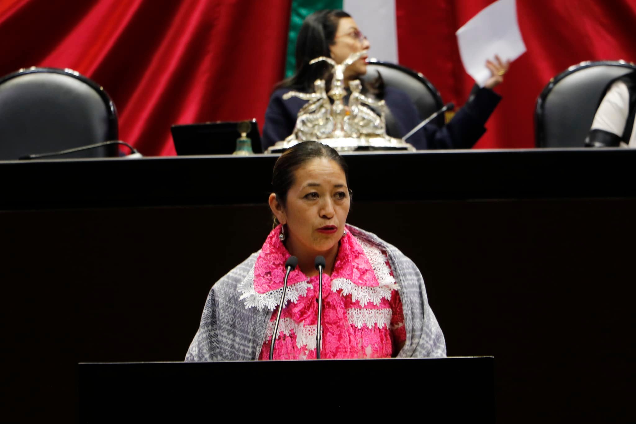 Hablante de otomí plantea generar mejores condiciones de vida, respeto y derechos a sus pueblos Lourdes De la Cruz