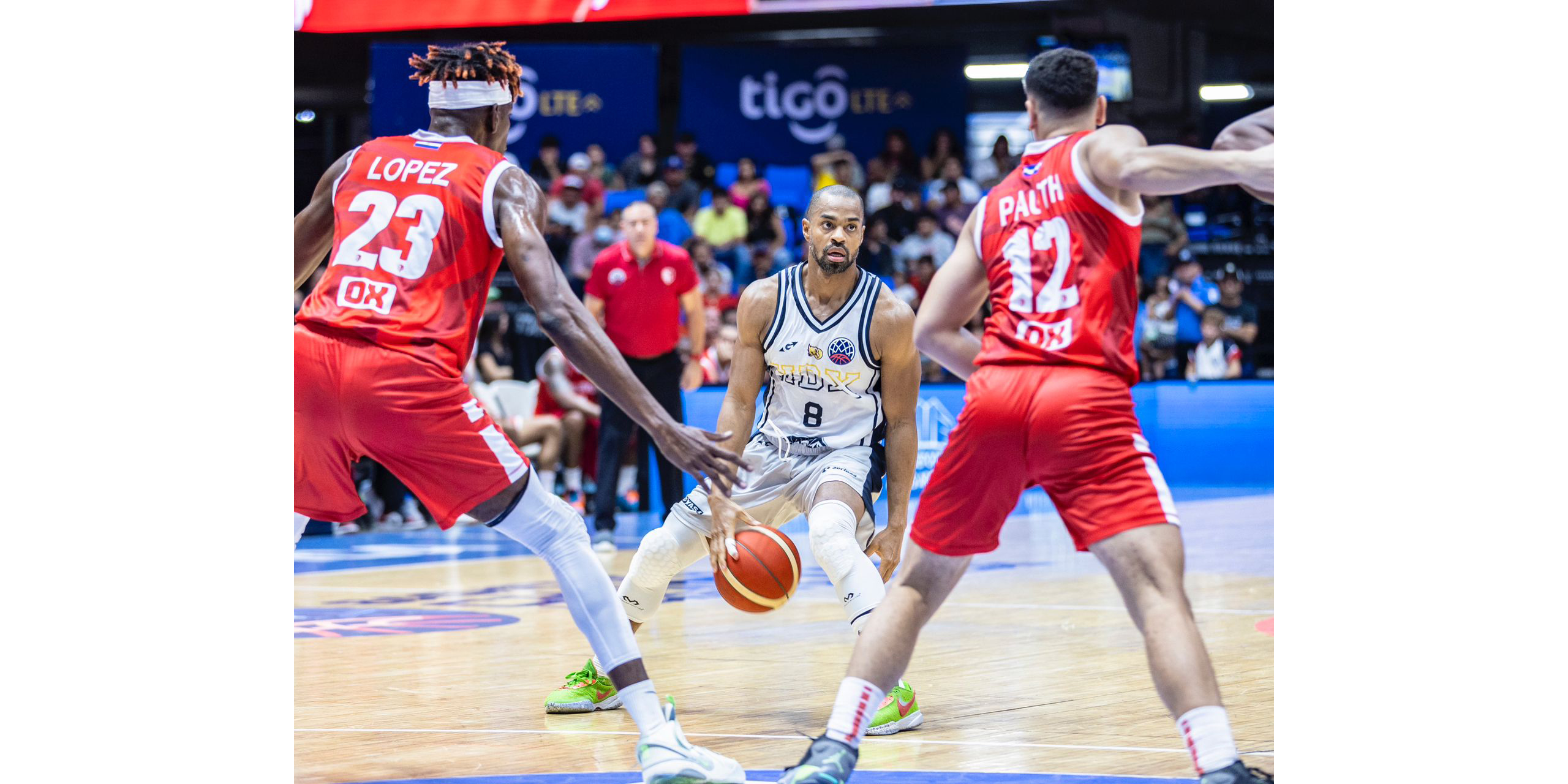 Halcones de Xalapa debutó en la Basketball Champions League Américas Halcones de Xalapa