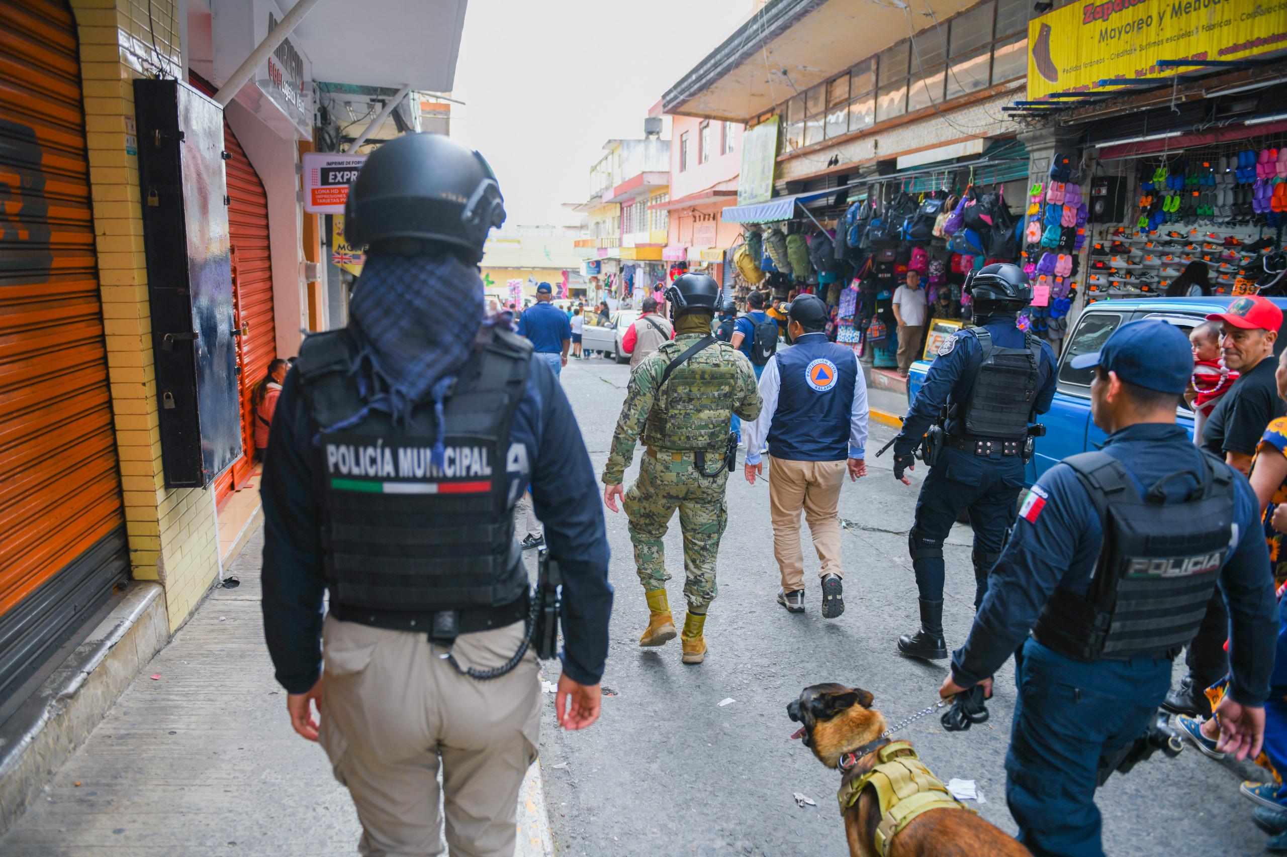 operativo piroctenia