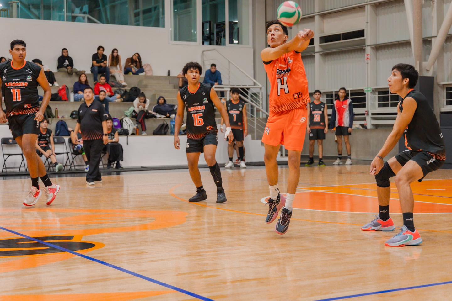 WhatsApp Image 2024-01-09 at 15.40.41