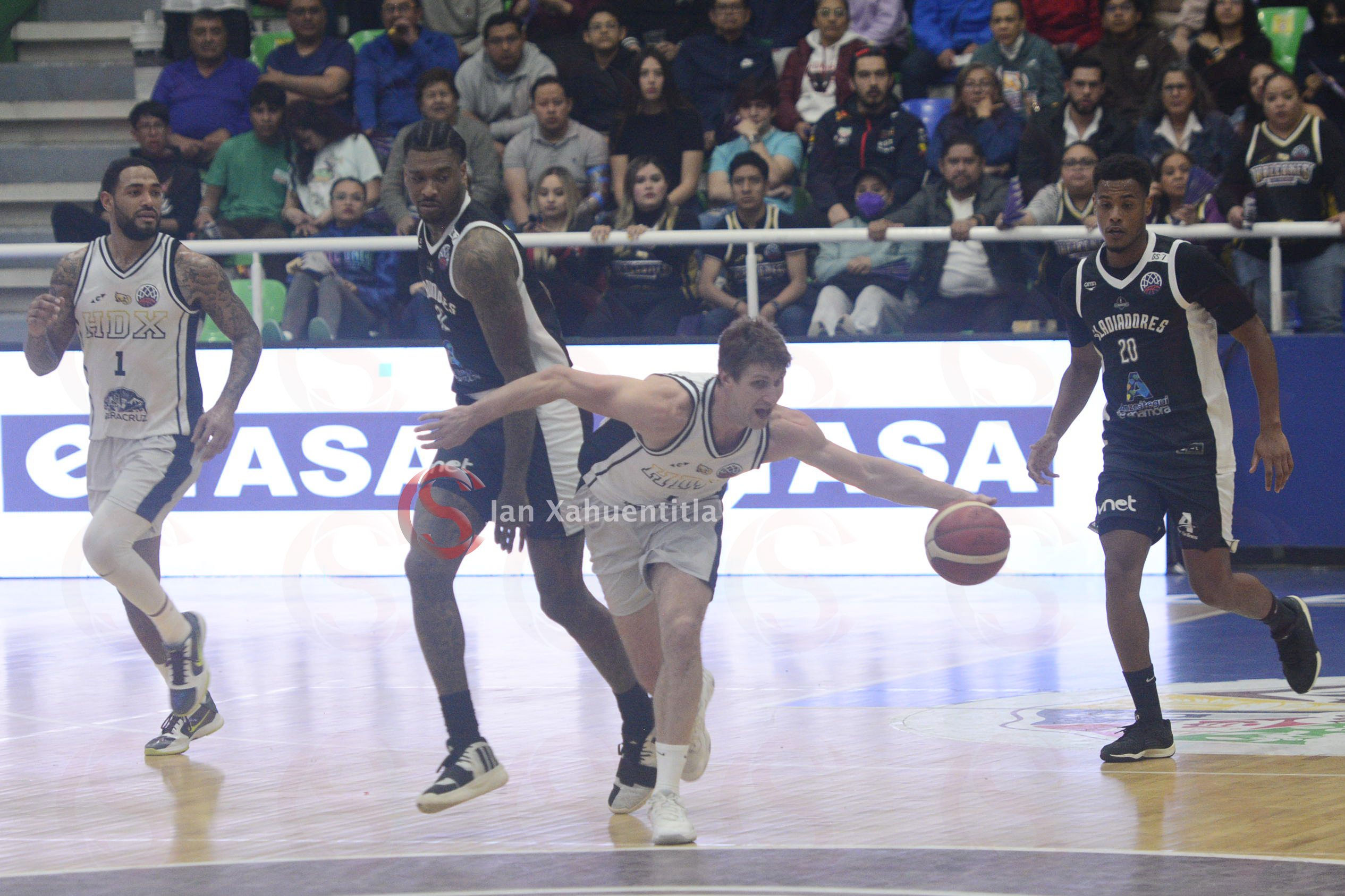 Halcones-de-Xalapa-2