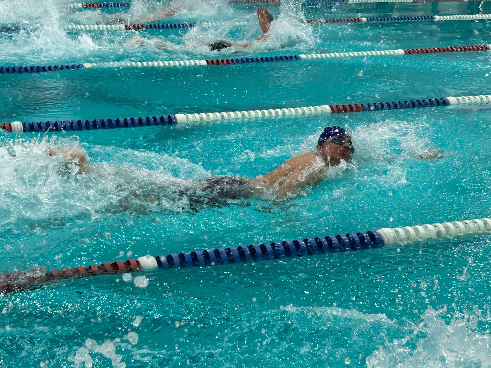 Presentan el Calendario de Torneos 2024 del Circuito Jarocho de Natación Nadadores
