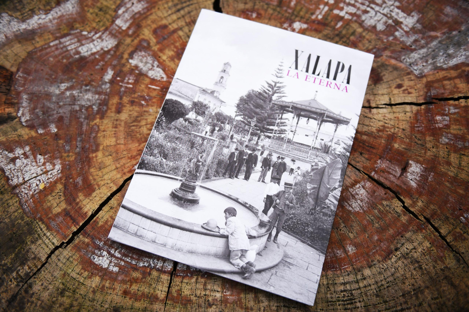 Presentan el libro: “Xalapa la eterna”