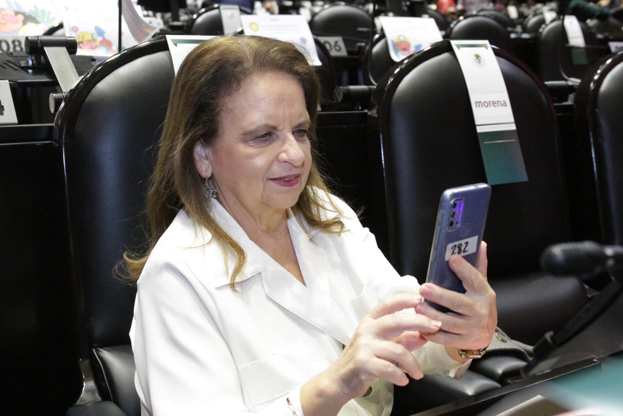 En estos días se anuncian candidatos a diputados federales; Ivonne Cisneros Ivonne Cisneros