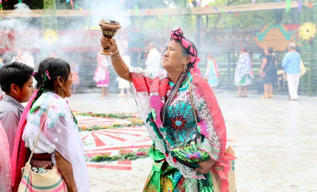 Tendrá Veracruz un Día Estatal de la Medicina Tradicional cada 22 de octubre: Diputado Urbano Bautista Cumbre Tajín