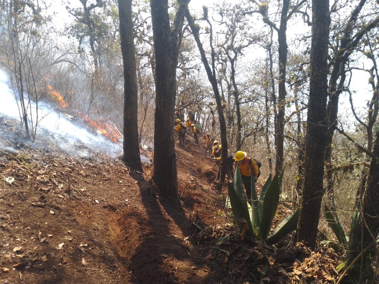 Liquidado incendio de Soledad Atzompa, controlado y 95% de liquidación en Huiloapan, 90% de control en Maltrata