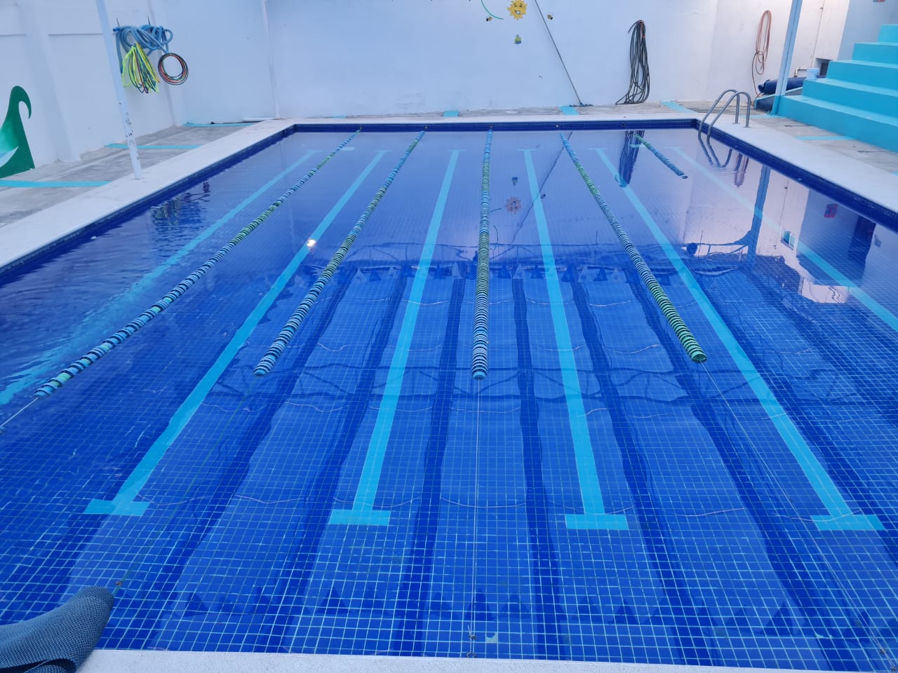 Alistan primer torneo del Circuito Jarocho de Natación “Colegio Atenea Ánimas Xalapa” natación