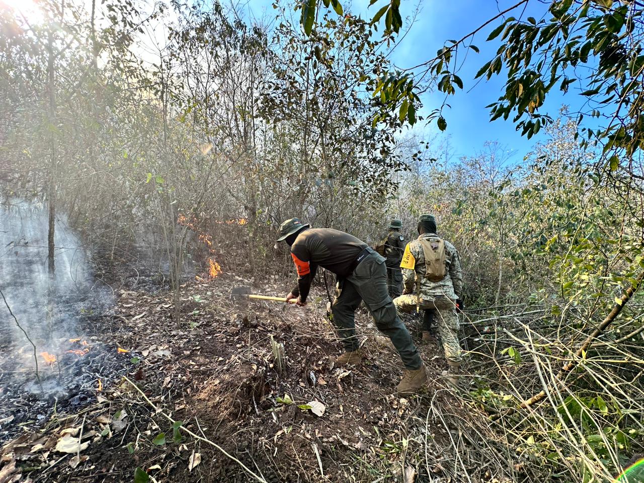 Intensifican acciones para sofocar incendios en las Altas Montañas incendio forestal