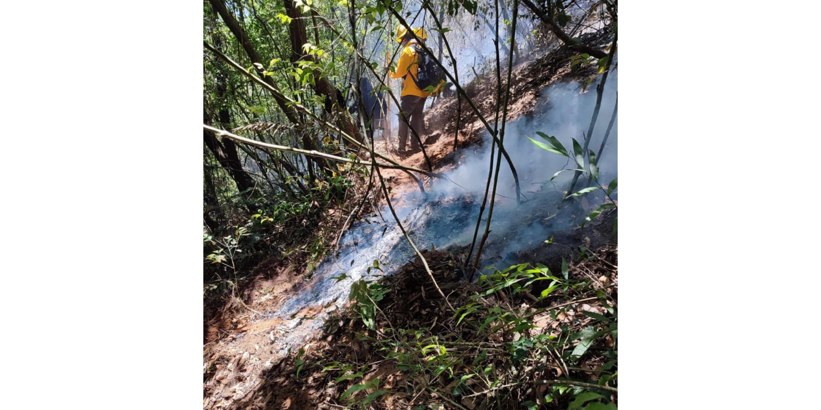 Incendio Río Blanco