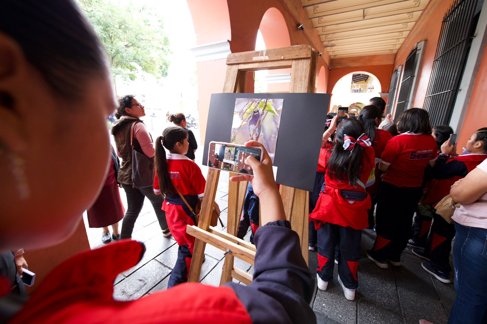 Convocan a concurso de dibujo infantil y desfile del Festival de las aves de las altas montañas Concurso infantil