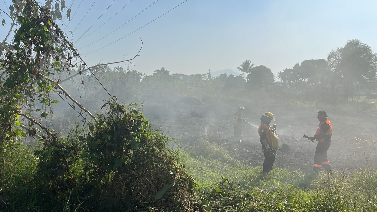 incendios forestales