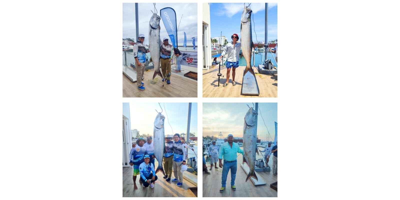 WhatsApp Image 2024-04-10 at 18.33.41(1)