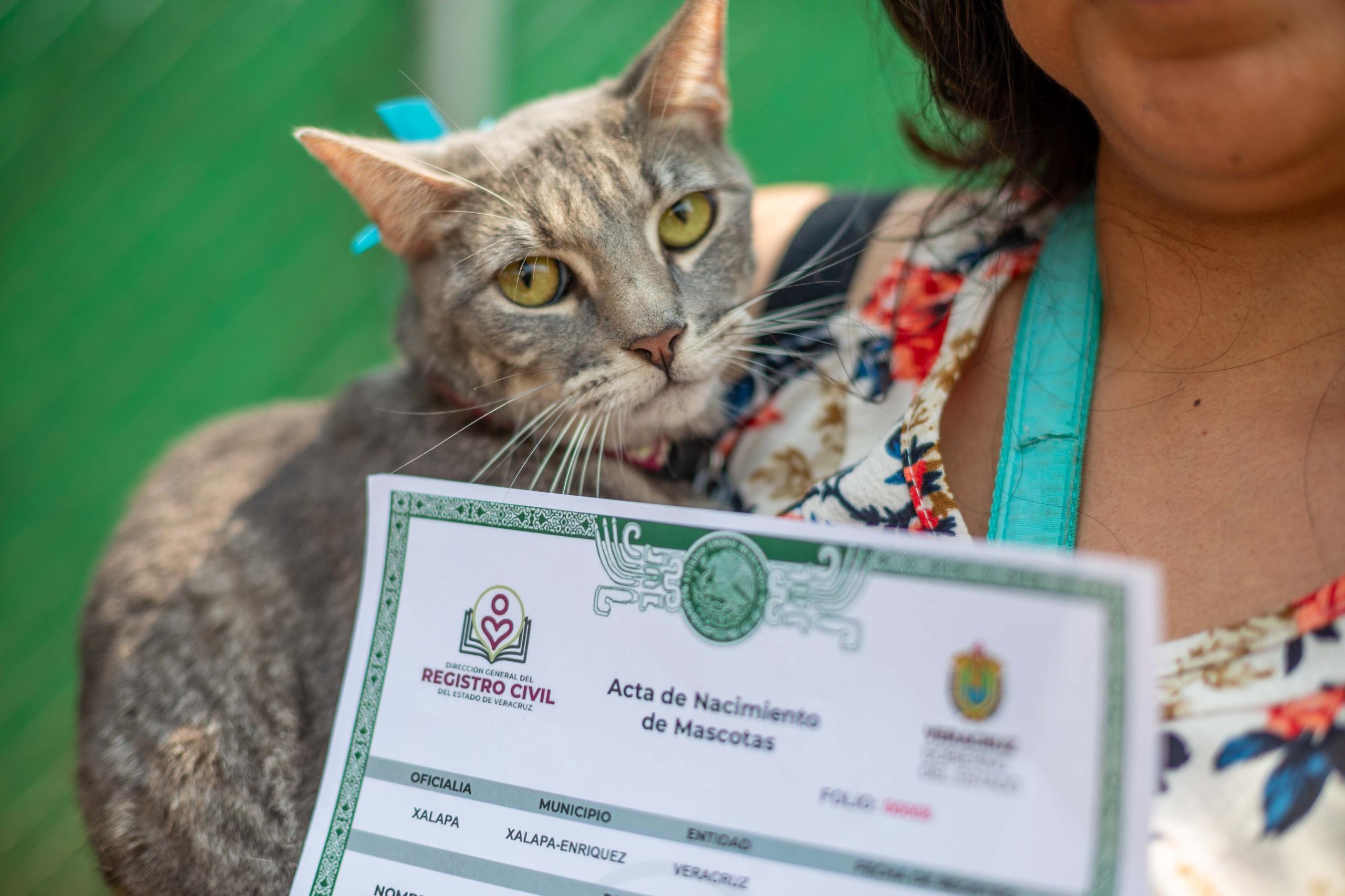 WhatsApp Image 2024-04-30 at 2.16.32 PM