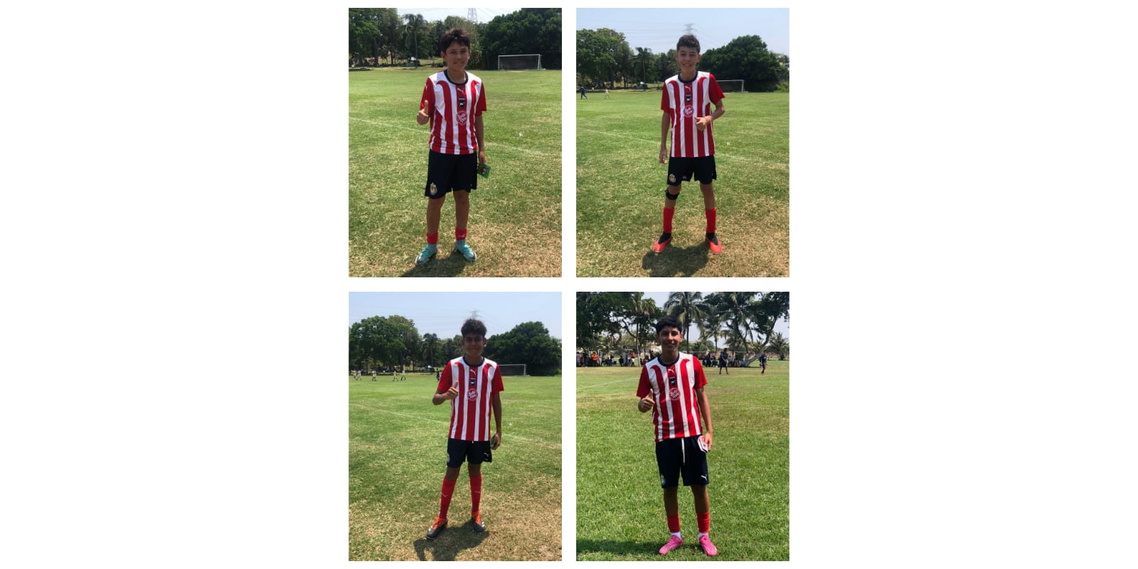 El Club Deportivo Guadalajara busca talento veracruzano chivas veracruz