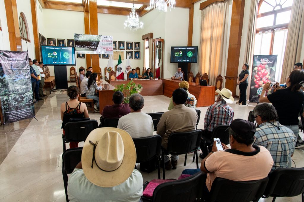 cordoba campesinos
