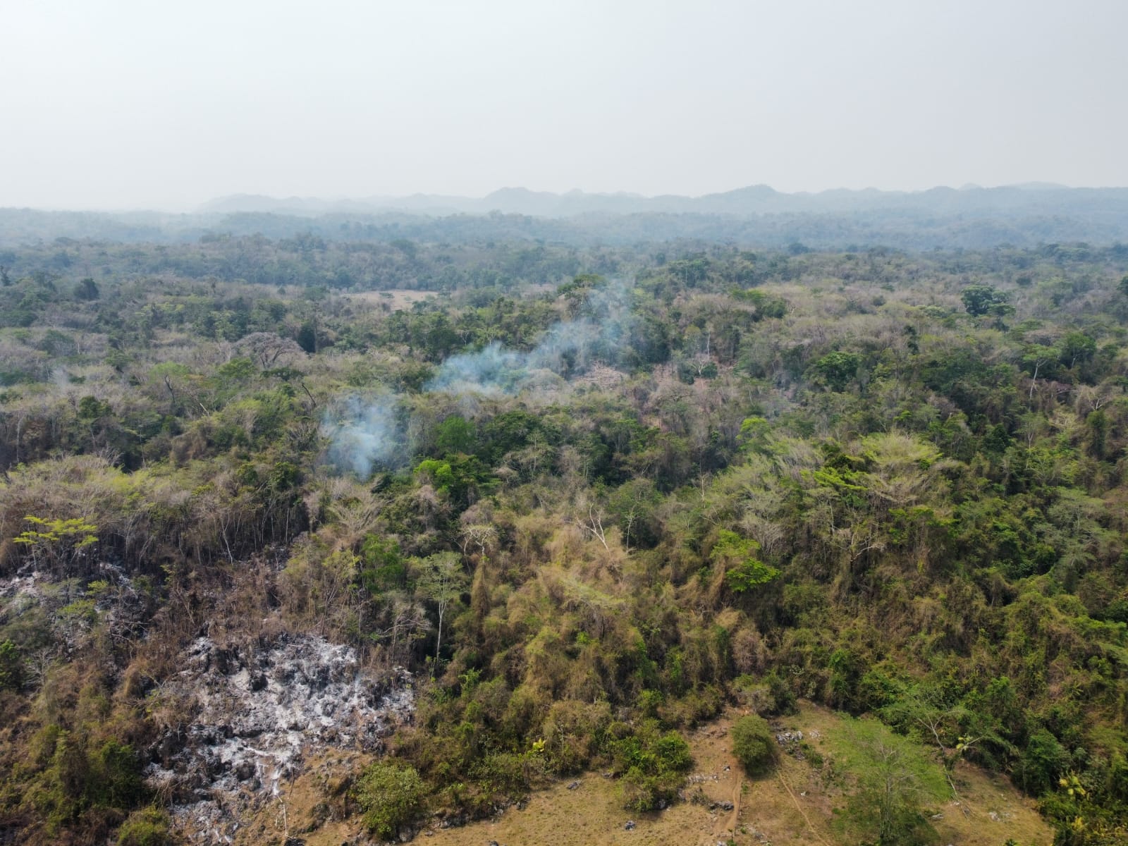 Fuerzas de tarea, coordinadas frente a incendios en Veracruz incendio