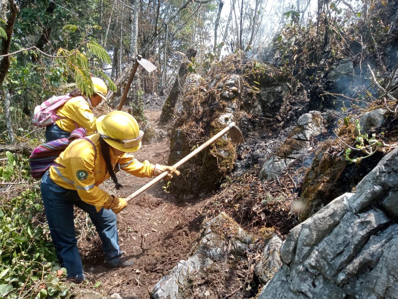 Fuerzas de tarea atienden 17 incendios forestales en Veracruz incendio forestal