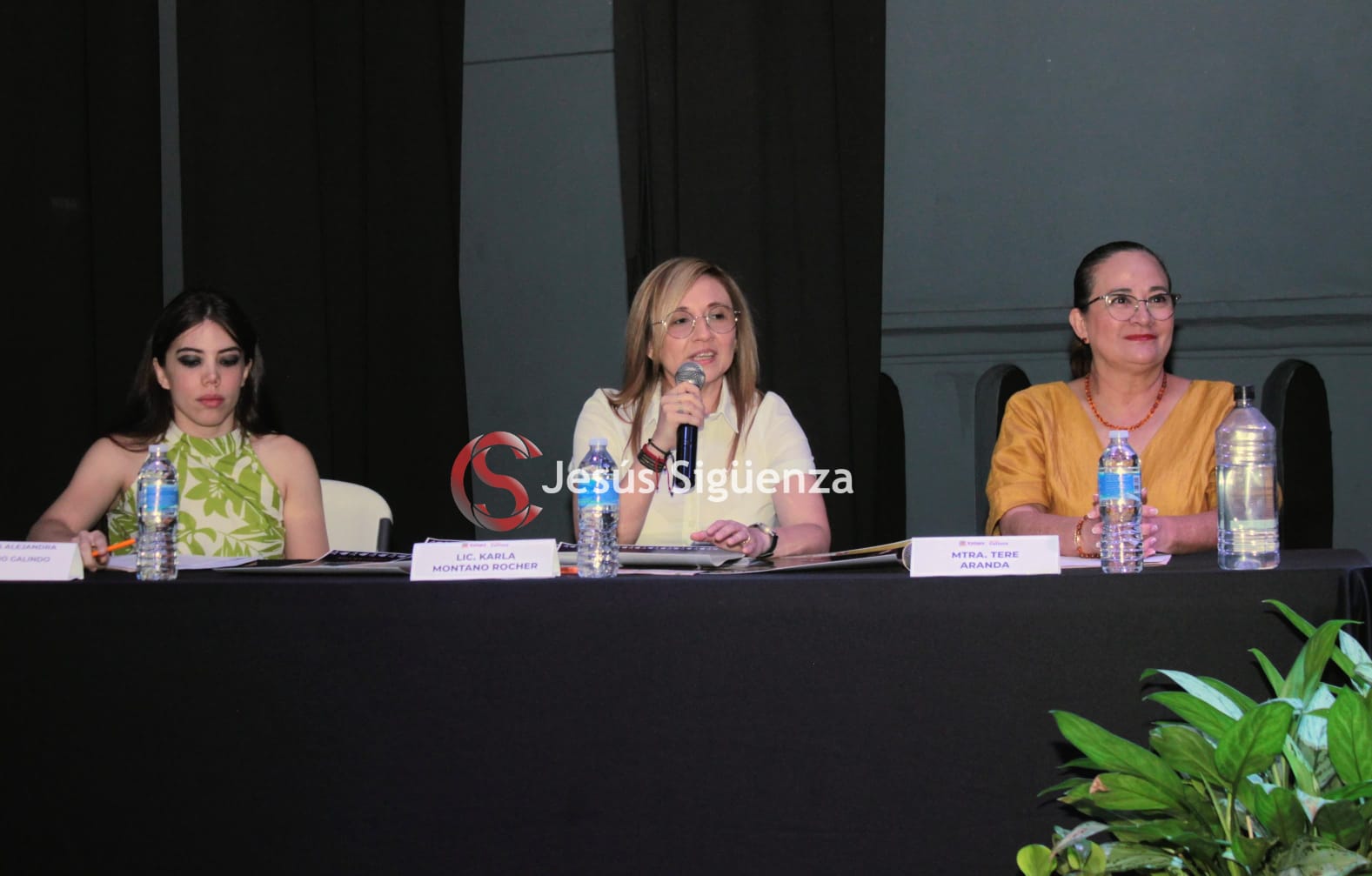 festival alberto de la rosa